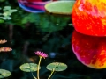 IMG_9708